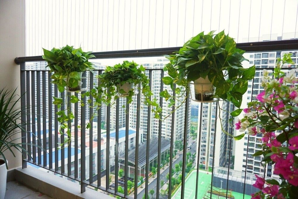 undefined Park Hill Times City Apartment 7