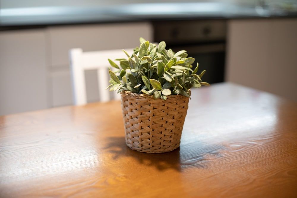 undefined Lambertesca Loft by Mmega 10