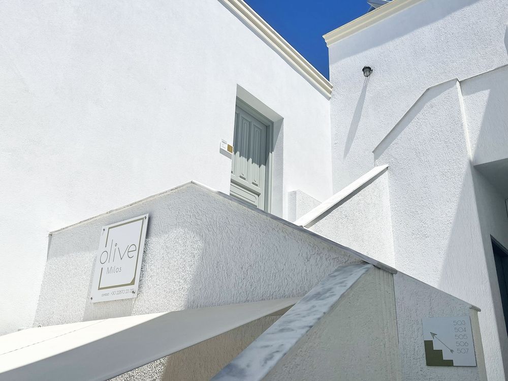 undefined Olive Studios 6