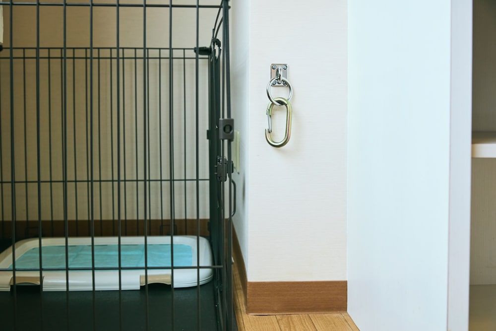 Pet Room Twin (With private bathroom)(Non-smoking)