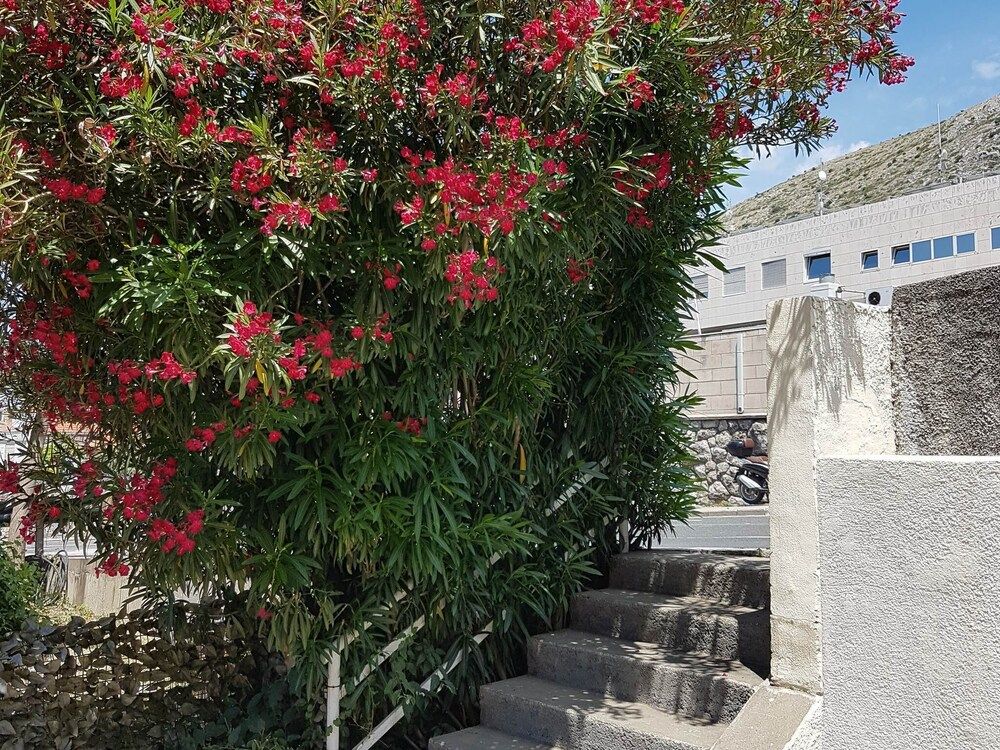 undefined Studios IM 7