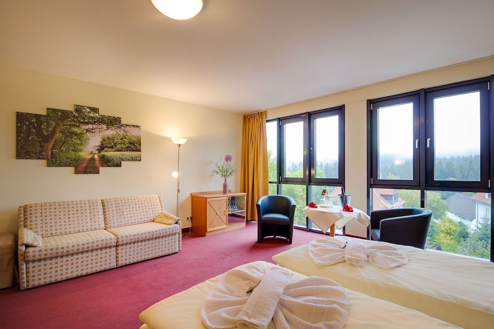 REGIOHOTEL Am Brocken Studio, 1 Double Bed, Non Smoking, Mountain View