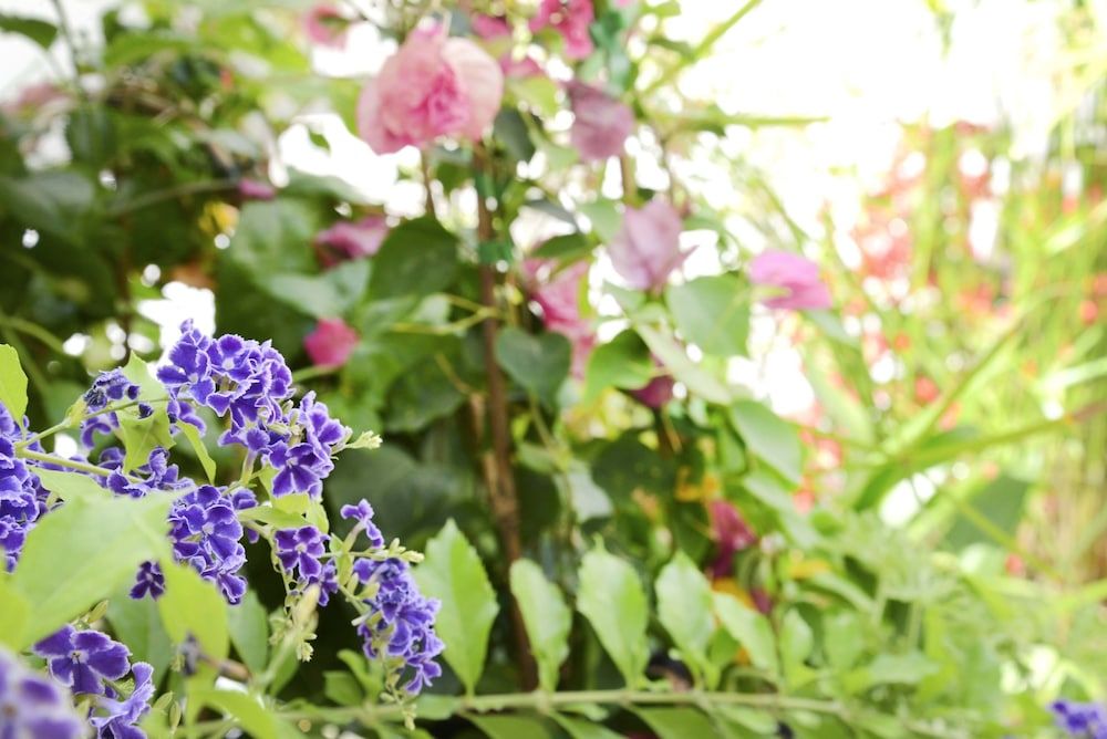 Hostal La Fonda Double Room, Shared Bathroom 8