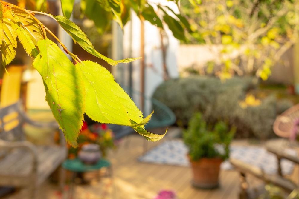 undefined The Rooms Bed & Breakfast 8