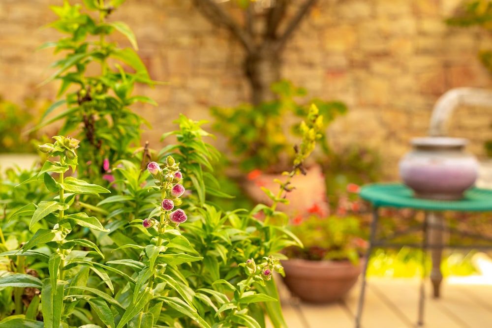 undefined The Rooms Bed & Breakfast 9