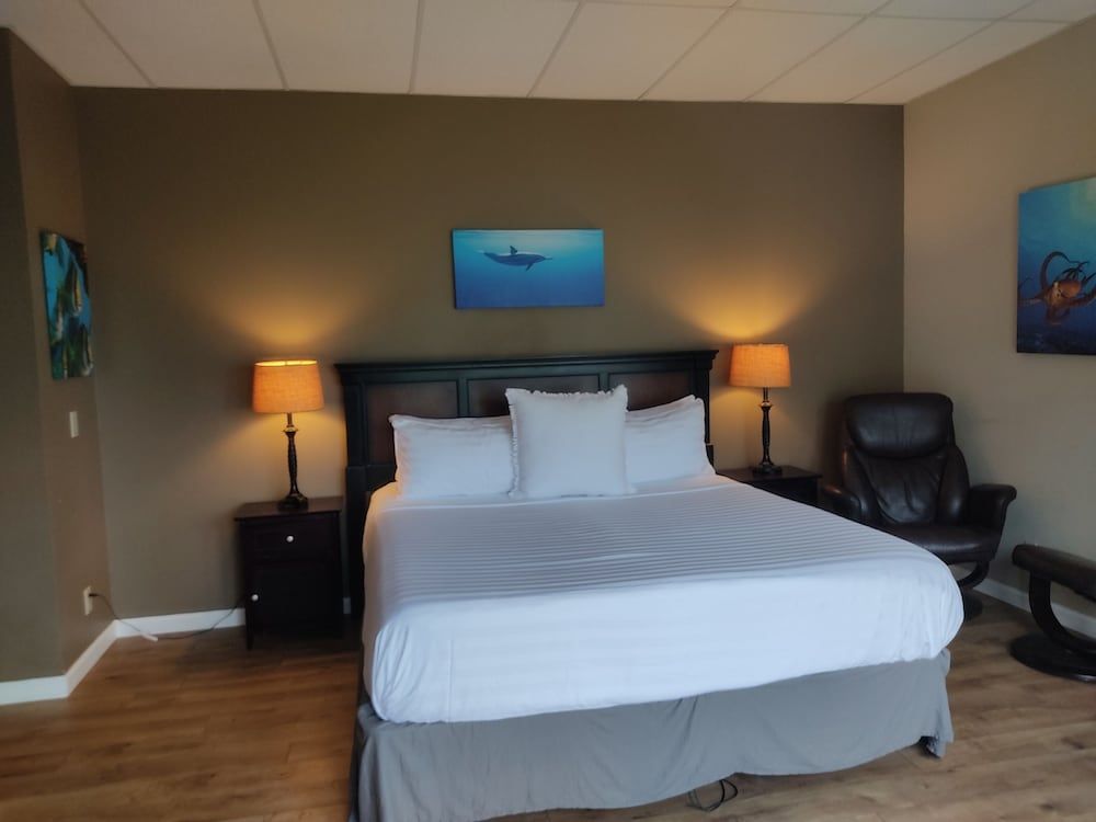 Moana Room - Panoramic Studio Suite, 1 King bed, Bay View, Garden Area - Main House