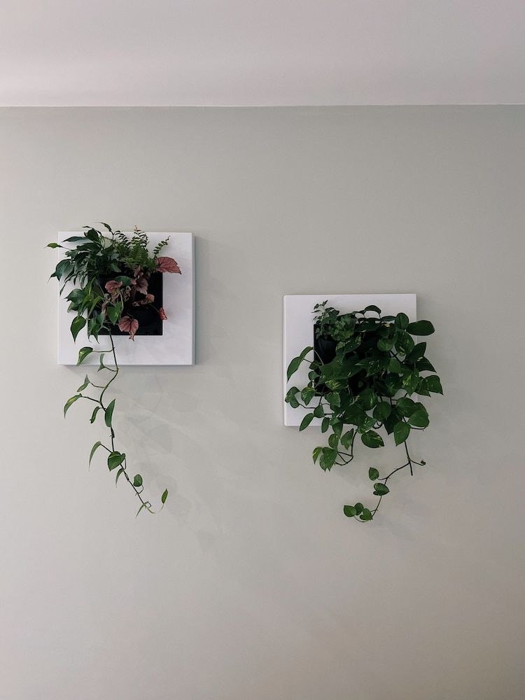 Luna House Deluxe Double Room, Ensuite 4