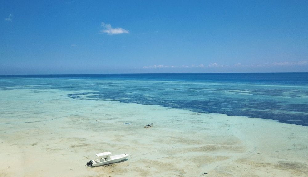 undefined Sarabi Zanzibar 2