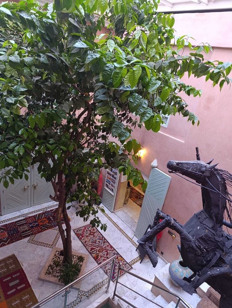 undefined Riad Moullaoud 8