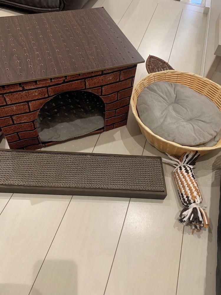 Polaris 101 Designer's Apartment - Pet Friendly (Additional Fee) 23