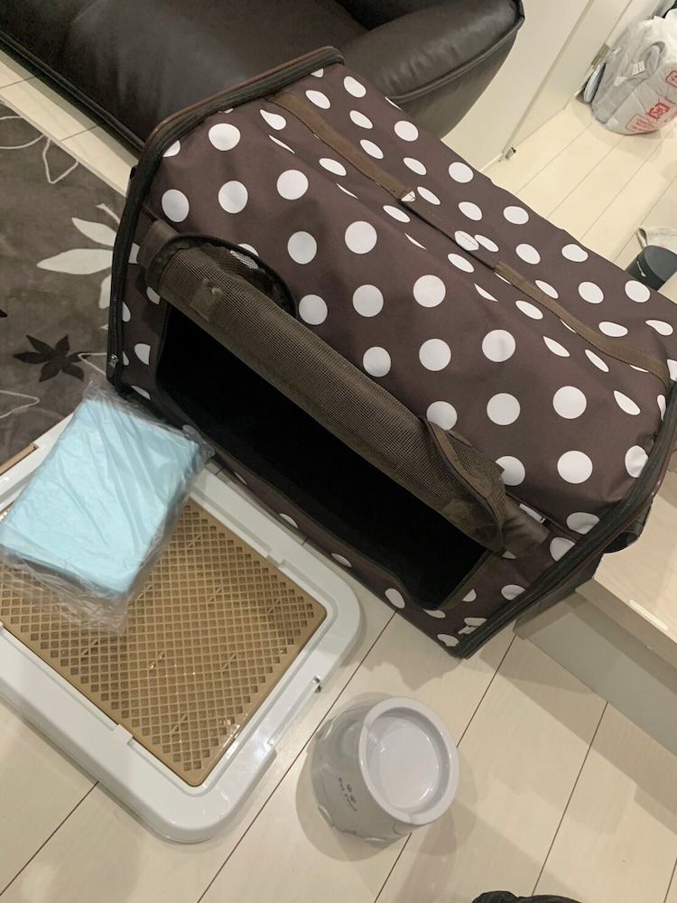 Polaris 101 Designer's Apartment - Pet Friendly (Additional Fee) 24