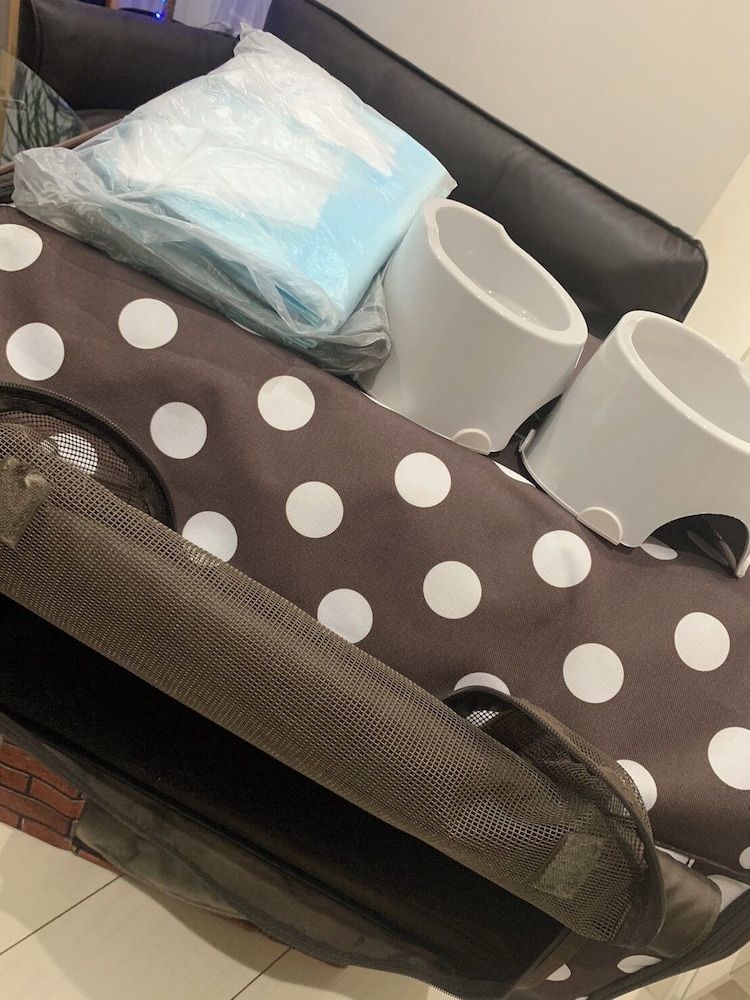 Polaris 101 Designer's Apartment - Pet Friendly (Additional Fee) 25