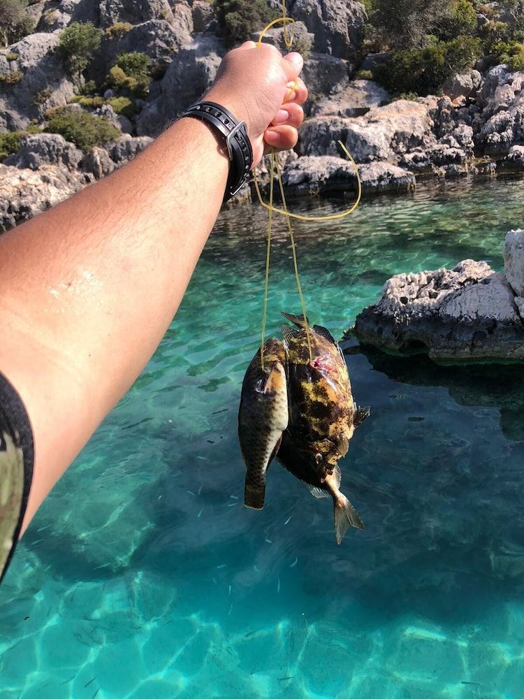 Water-based activities