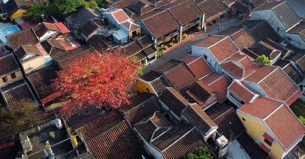 undefined Hoian Royal Villa 8