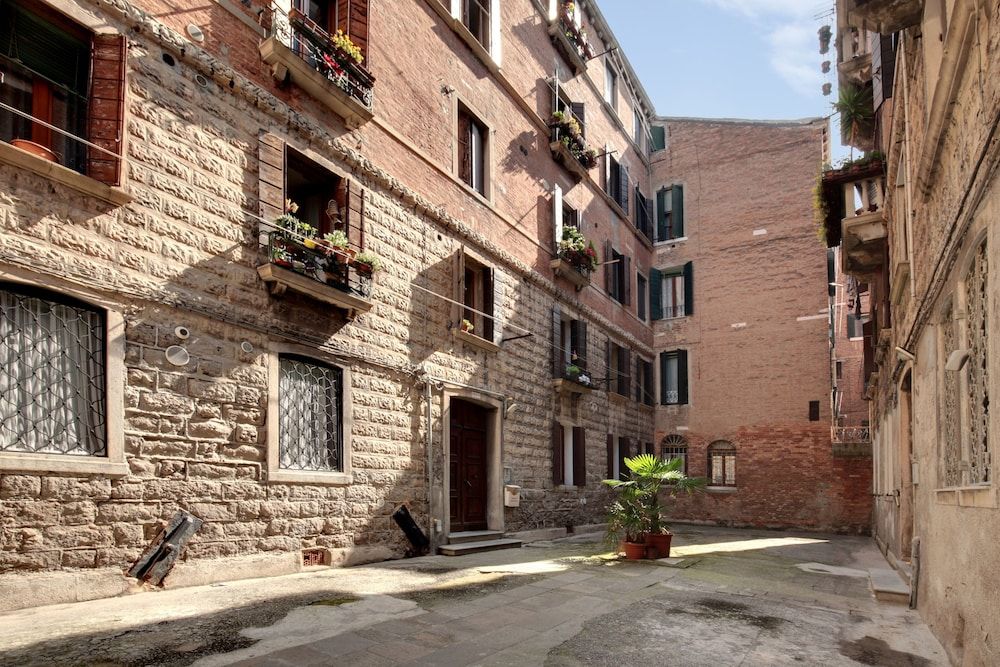 undefined White Flowers 2