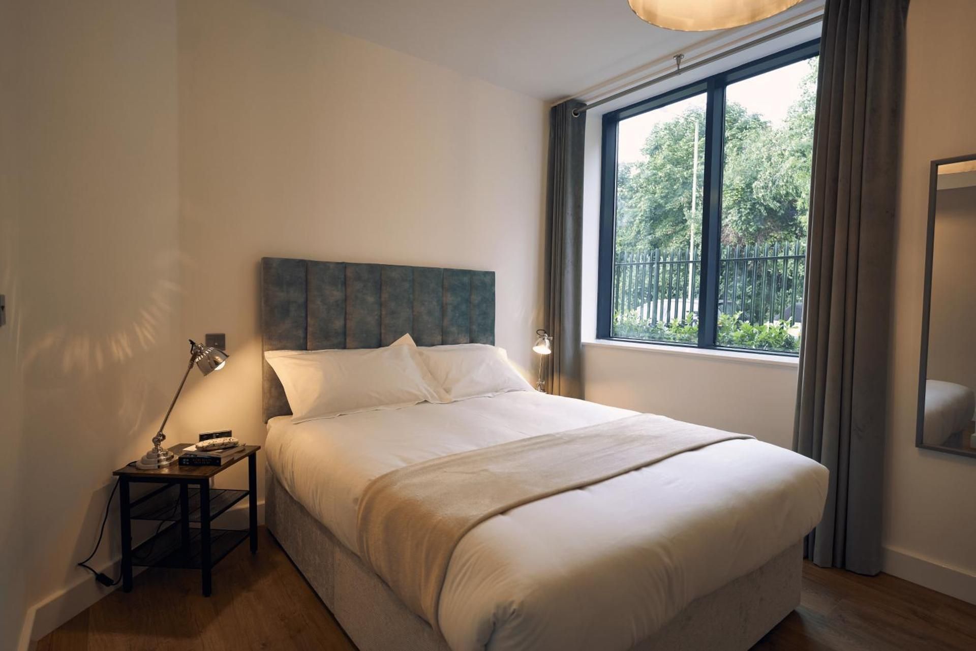 Deluxe One-Bedroom Apartment