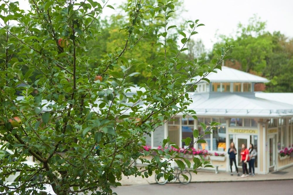 undefined Lisebergsbyn Bed & Breakfast 2