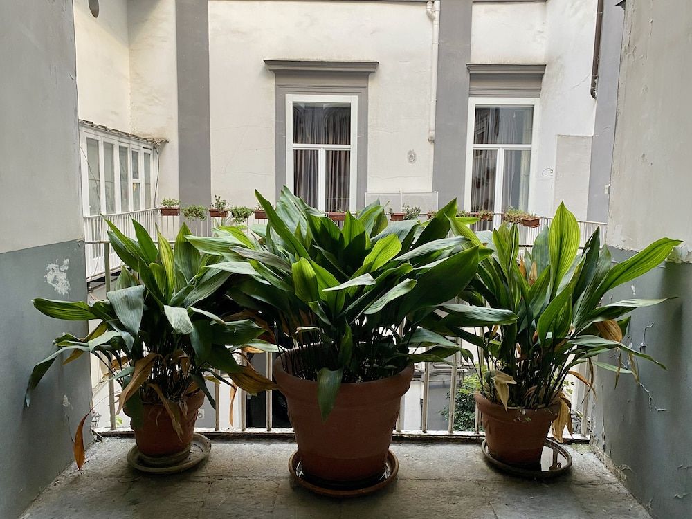 Cache-nez, Piazza Dante Napoli House, 1 Bedroom, City View 20