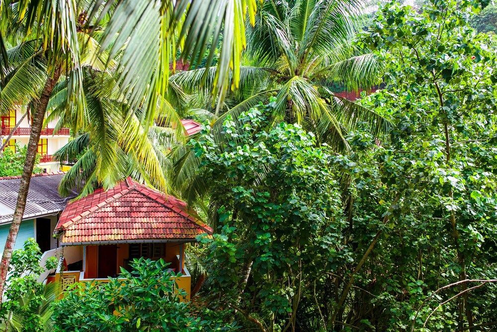 Land View from Property