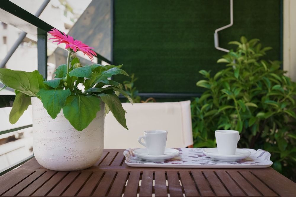 undefined Absolute Athens III 3