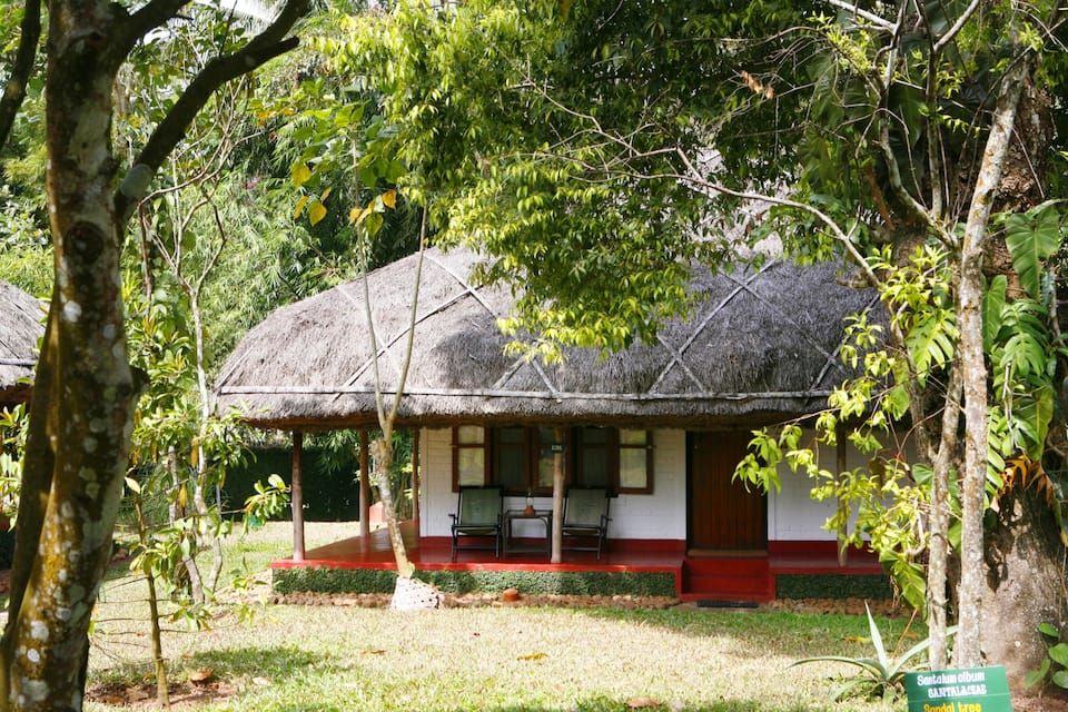 Standard Villa