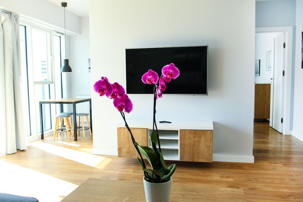 Superior Apartment, 1 Bedroom