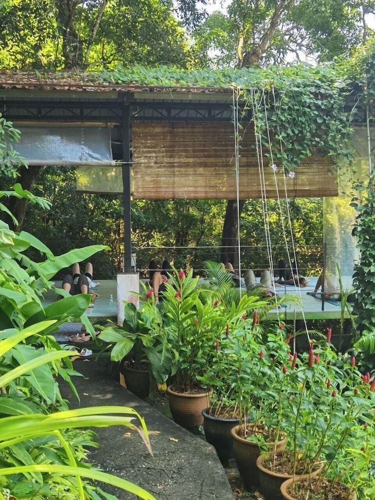 undefined Ambong Rainforest Retreat 8