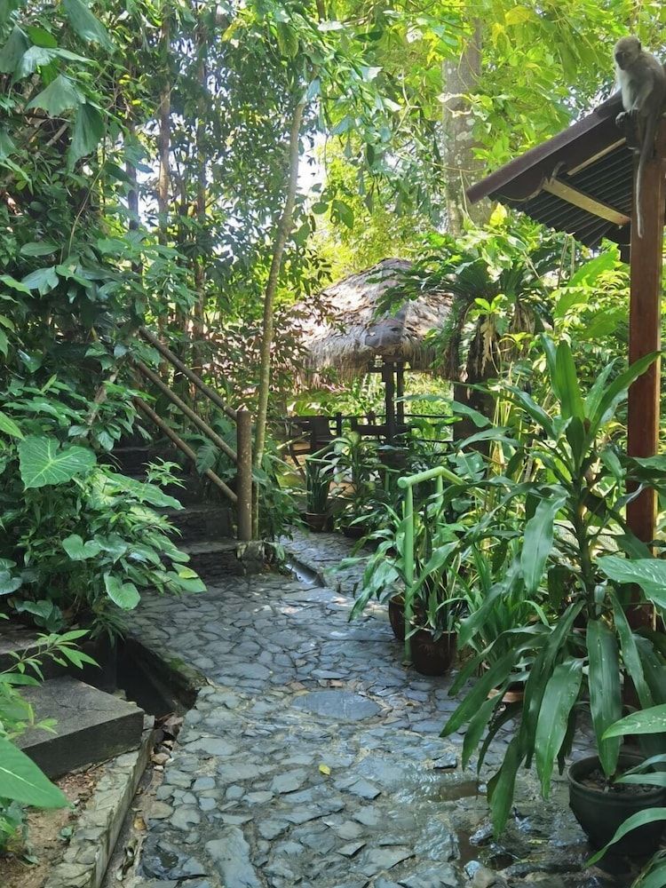 undefined Ambong Rainforest Retreat 6