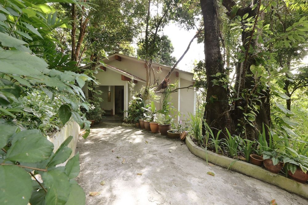 undefined Ambong Rainforest Retreat 10