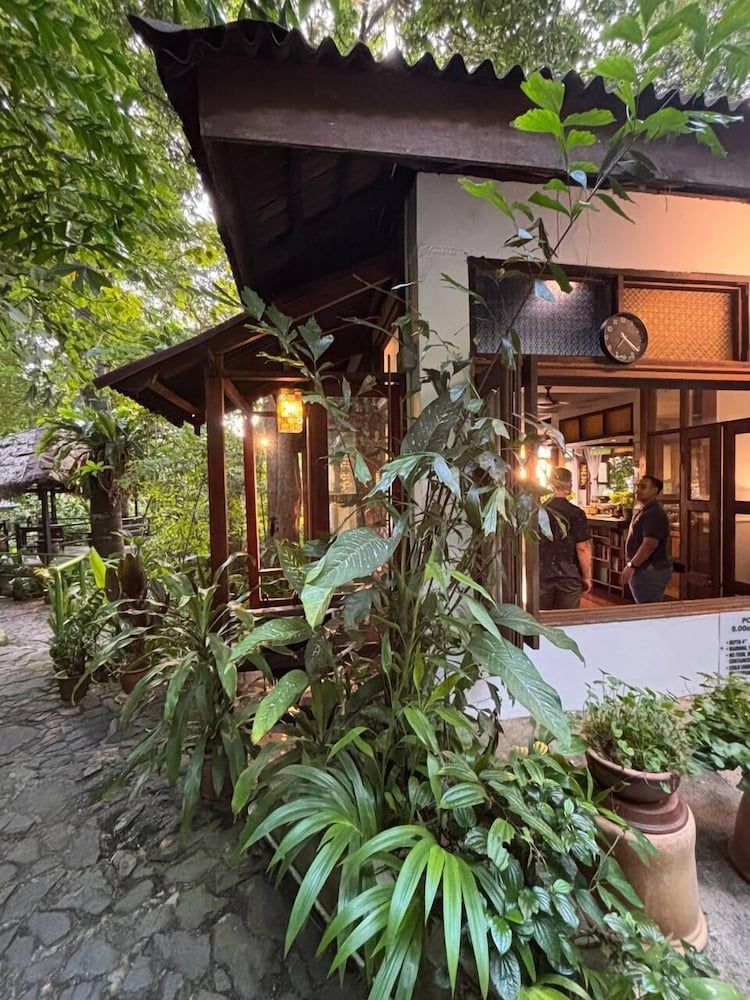 undefined Ambong Rainforest Retreat 8