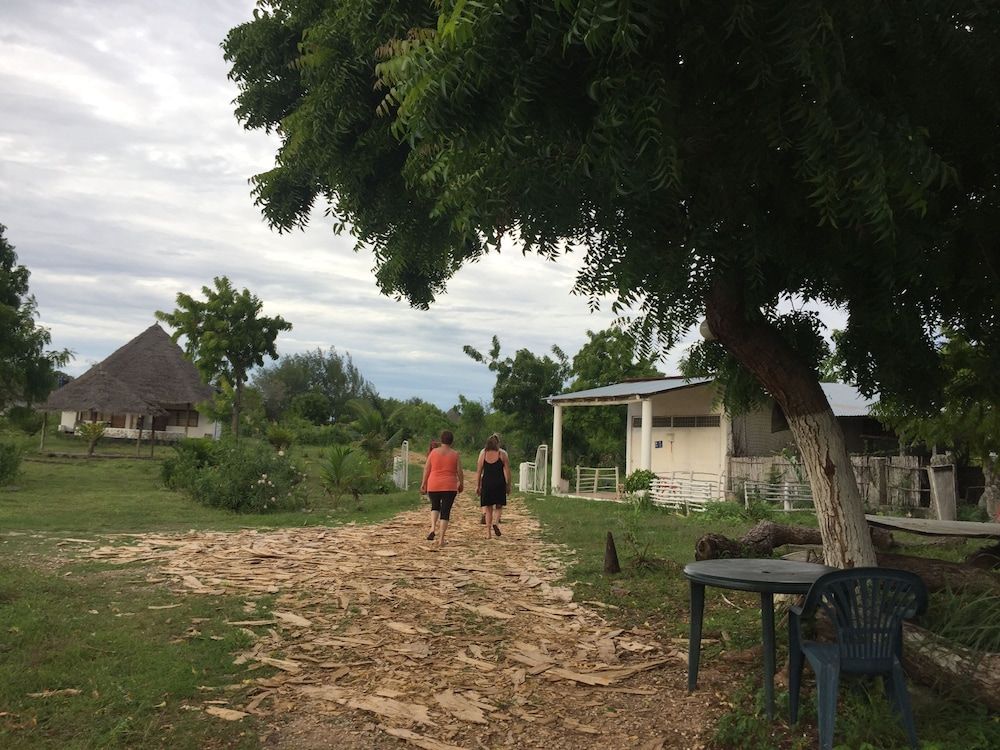 undefined JCB resort 6