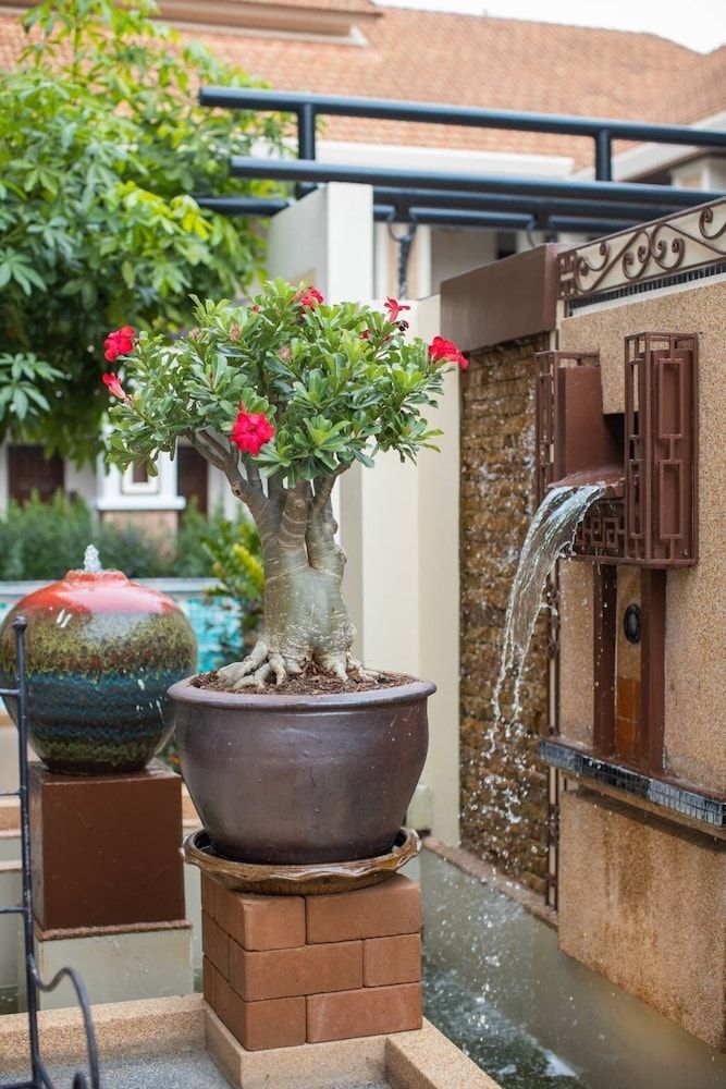 undefined La Seine City Resort Chiang Mai 10