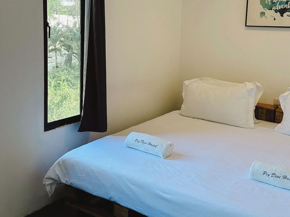 Pig Dive Hostel Comfort Double Room 6