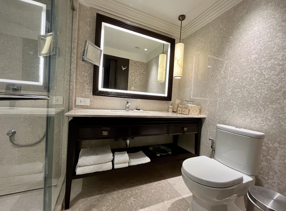 Taj Ganges, Varanasi Superior Room City View King Bed 3
