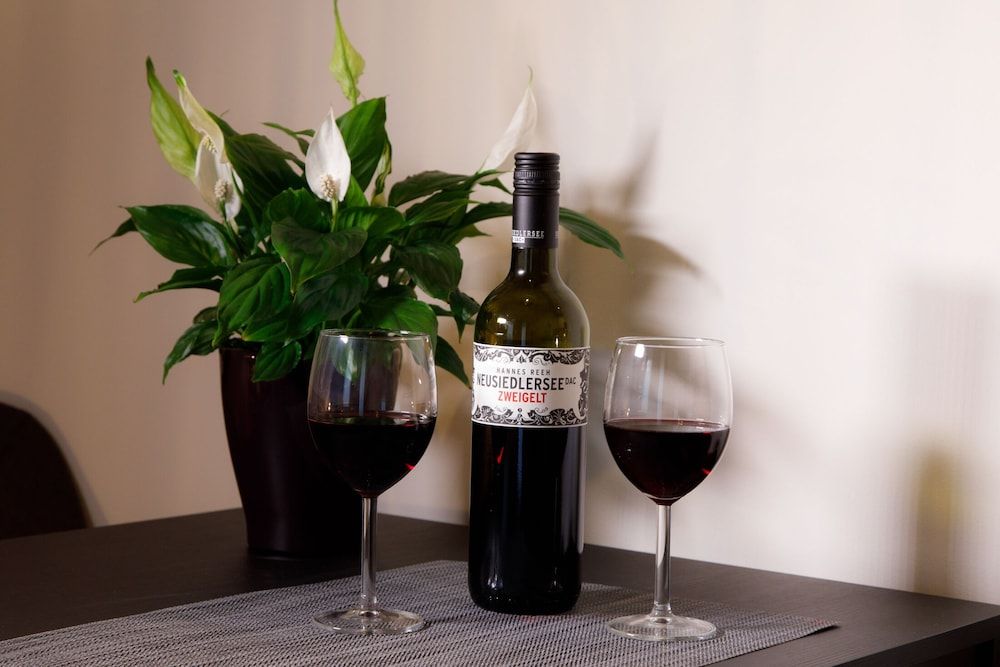 Vienna Westside Apartments Superior-Apartment, 1 King-Bett (inklusive 60 EUR Reinigungsgebühr) 15