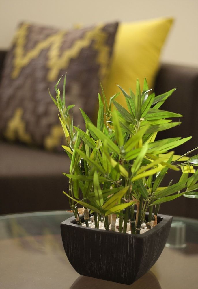 undefined Tambo Dos de Mayo 3