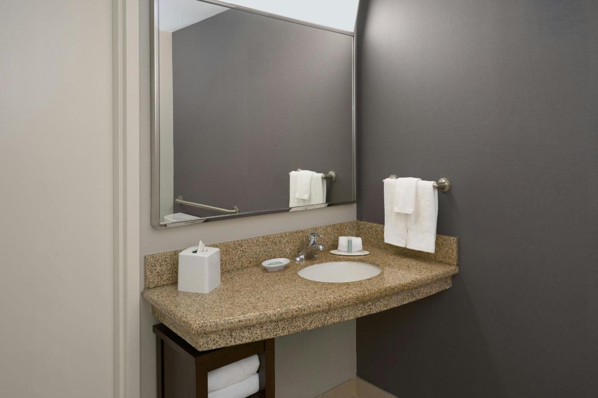 Guest room, 1 King, Sofa bed (Mobility and Hearing Accessible w/Roll-in Shower)