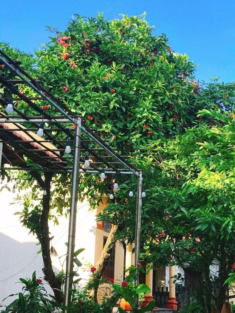 undefined Sunny Trang An Homestay 2