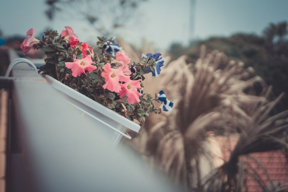 undefined Sunny Trang An Homestay 7