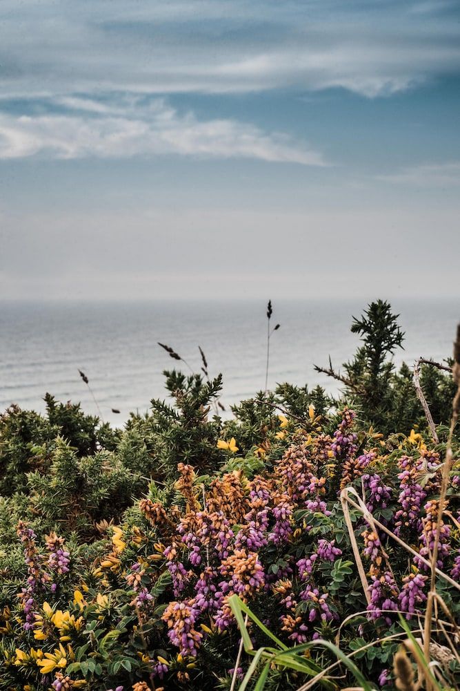 Number Seven Luxury Apartment, Ensuite (North Cornish coast) 37