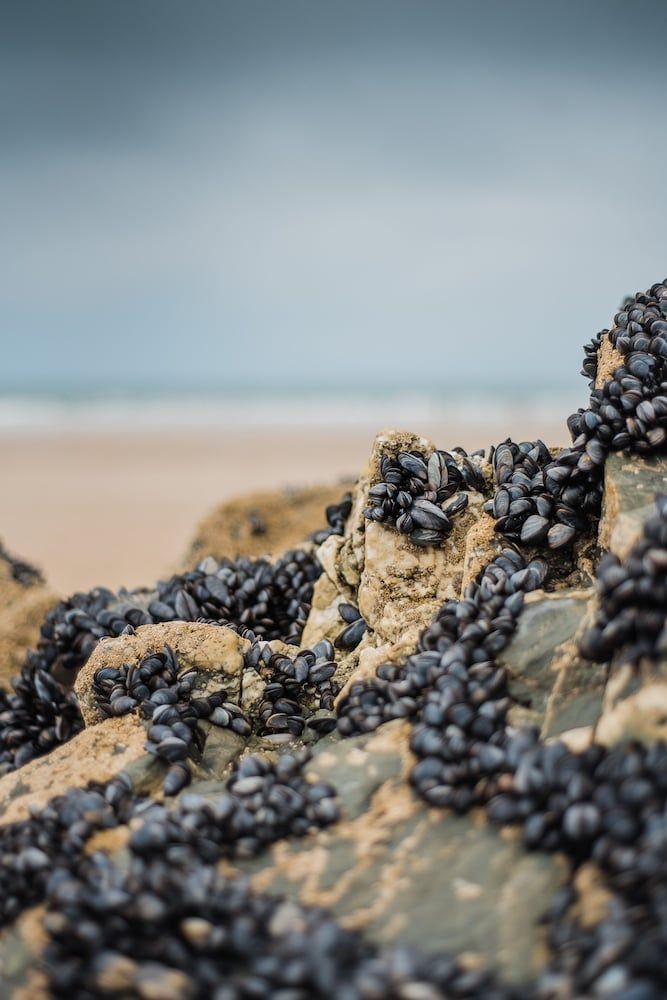 Number Seven Luxury Apartment, Ensuite (North Cornish coast) 38