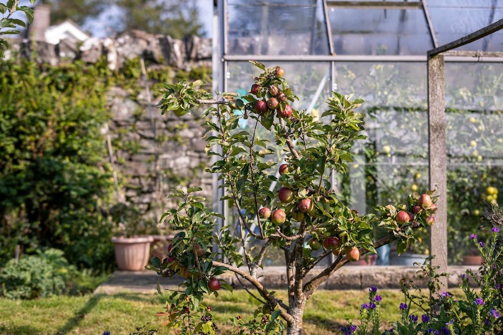 Craigmount Classic Twin Room, 2 Twin Beds, Non Smoking 4