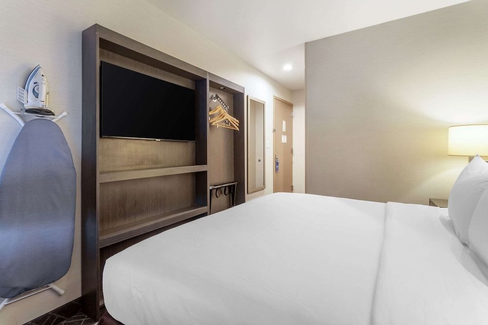 Standard Room, 1 King Bed, Non Smoking