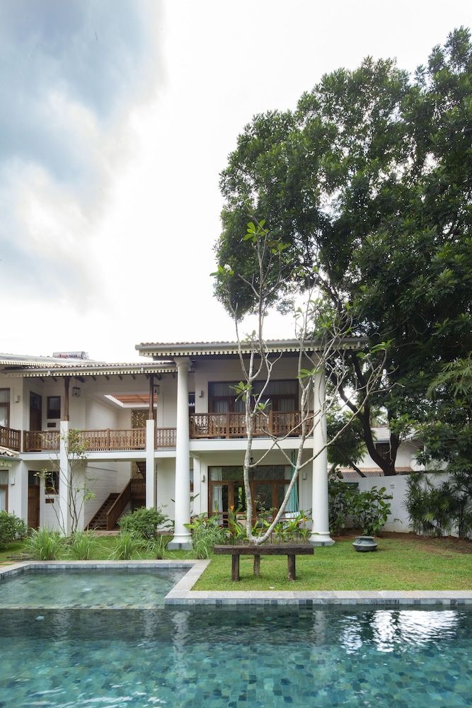 undefined Bilin Tree House 6