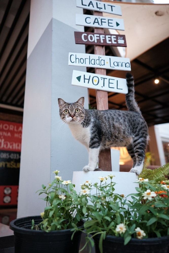 undefined Chorlada Lanna Hotel 9