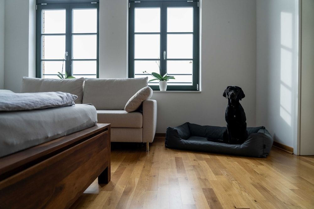 König Albert Residenz Basic Apartment 40