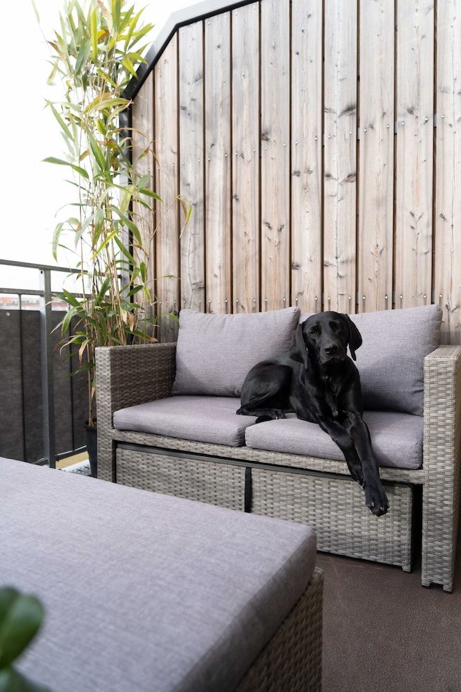 undefined König Albert Residenz