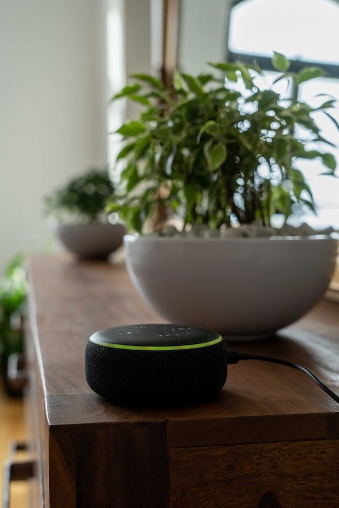 König Albert Residenz Basic Apartment 38