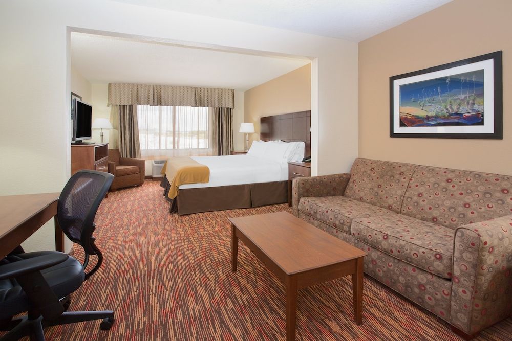 Suite, 1 King Bed with Sofa bed
