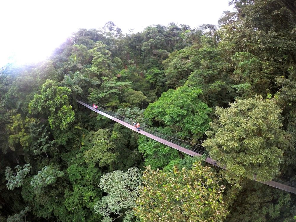 undefined Casa Alexandra 10